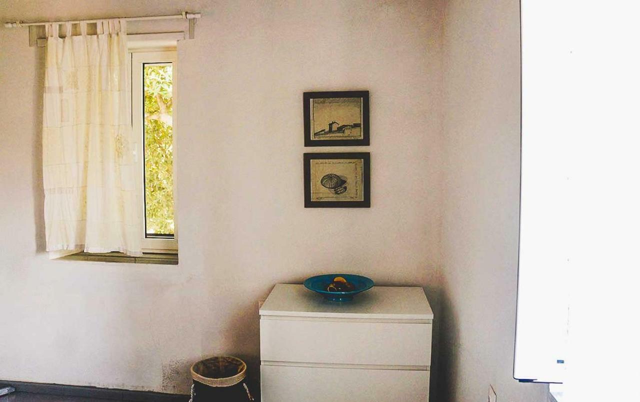 Beautiful House Ideal For Families فاروس المظهر الخارجي الصورة